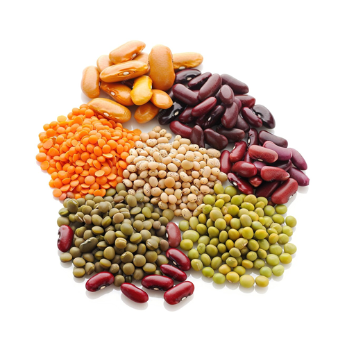 Pulses