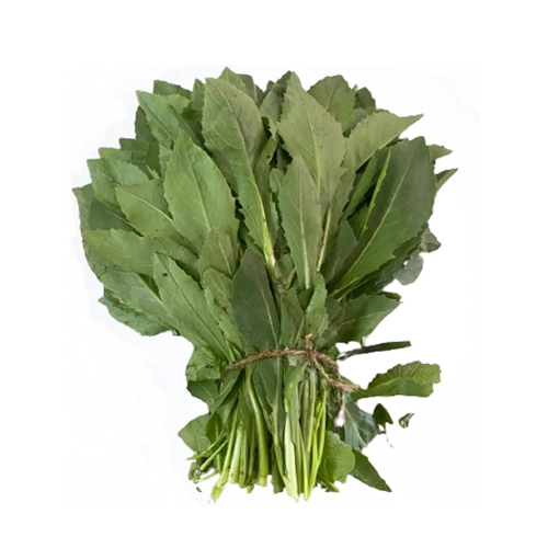 Safflower leaves