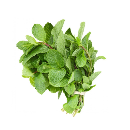 Mint leaves