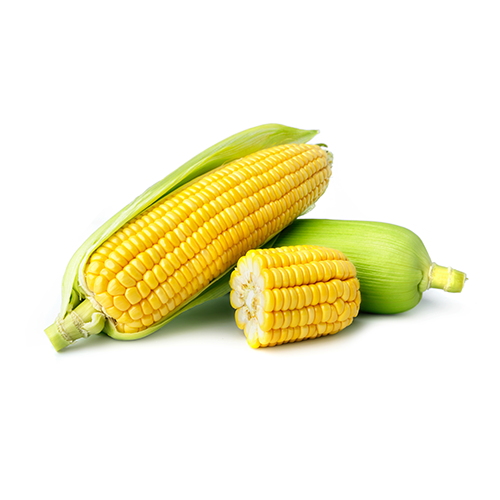 Sweet Corn