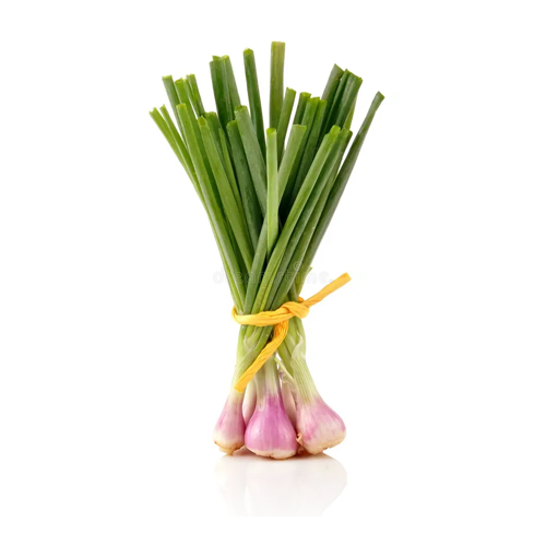 Onion path ( leaves )