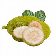 Jack Fruit