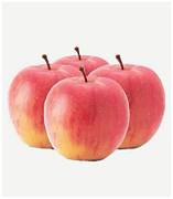 Fuji Apple