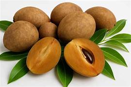 Sapodilla