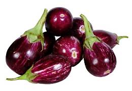 brinjal