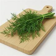 Dill Leaves