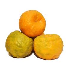 Nagpur Orange