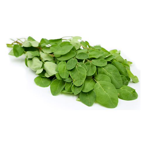 Moringa leaf