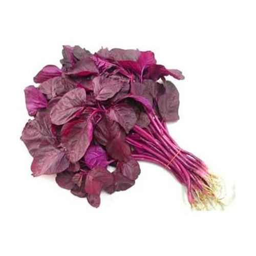 Red amaranth