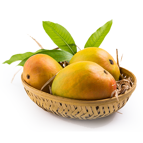 Alphanso Mango