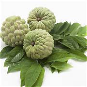 Custerd Apple