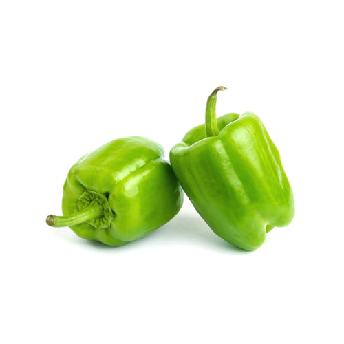 Capsicum