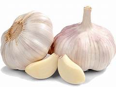 garlic