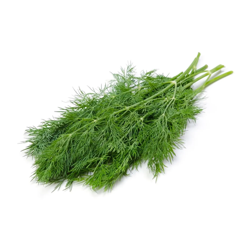 Dill Leaves